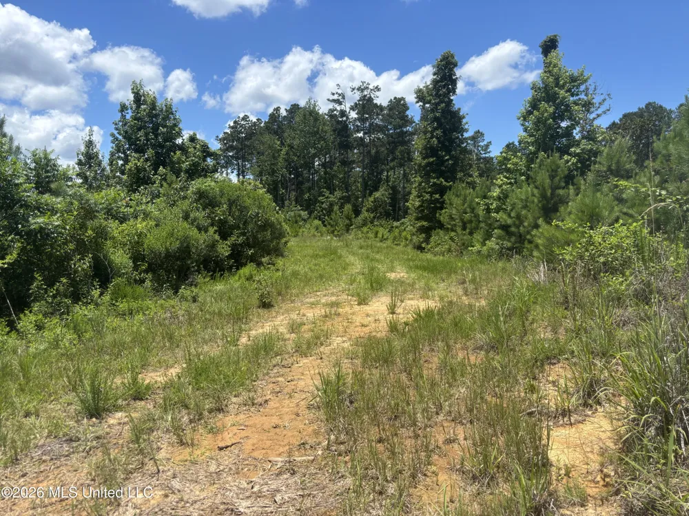 Stump Road Crosby, MS 39633