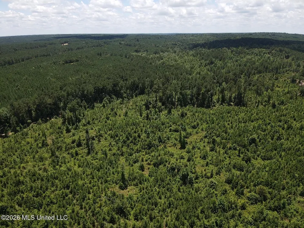 Stump Road Crosby, MS 39633