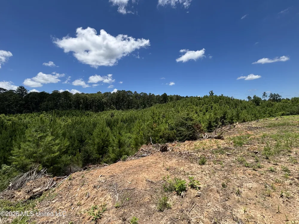 Stump Road Crosby, MS 39633