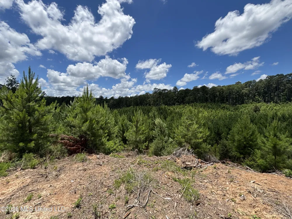 Stump Road Crosby, MS 39633