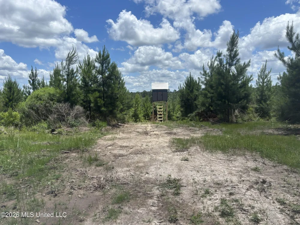 Stump Road Crosby, MS 39633