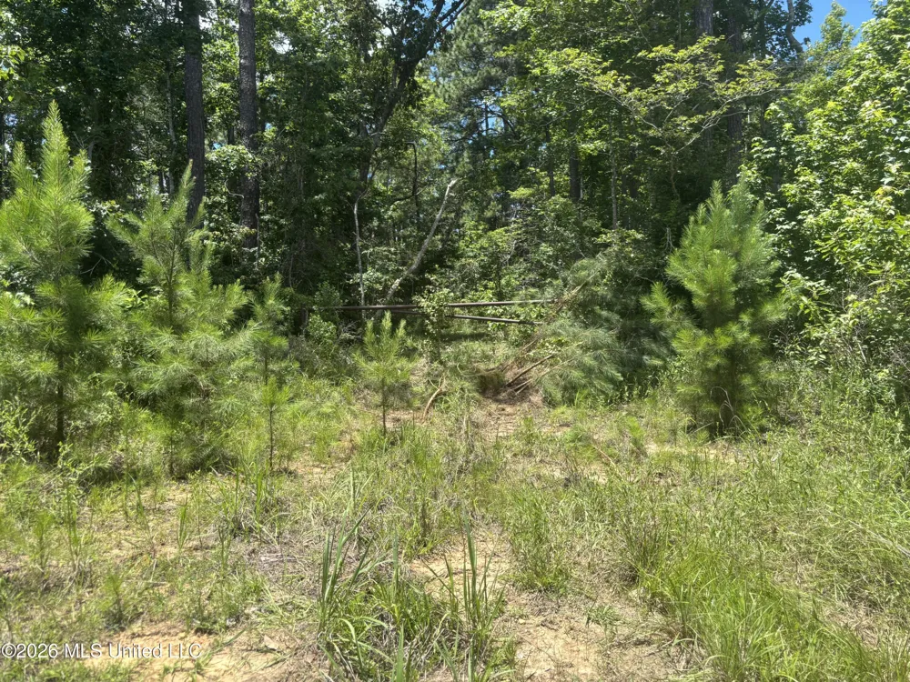 Stump Road Crosby, MS 39633