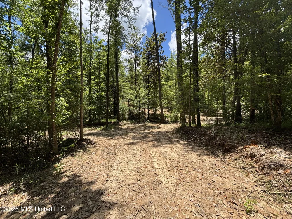 Stump Road Crosby, MS 39633