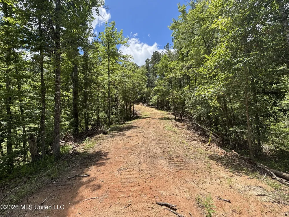 Stump Road Crosby, MS 39633