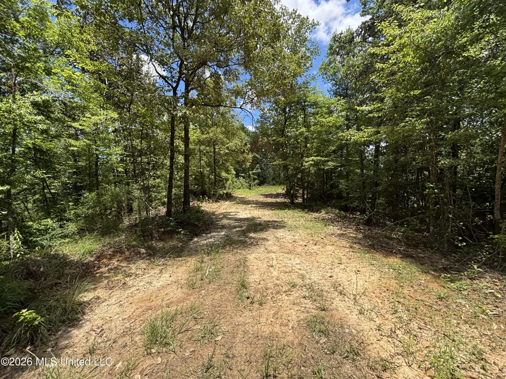 Stump Road Crosby, MS 39633