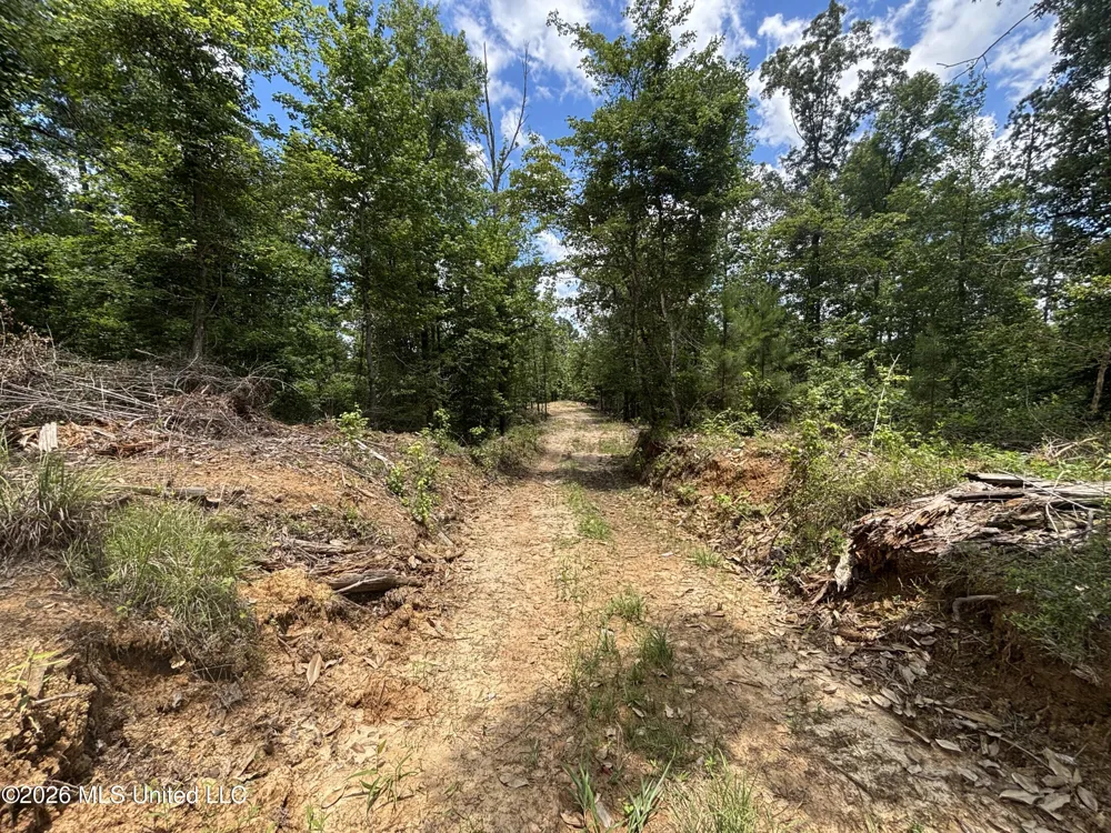 Stump Road Crosby, MS 39633