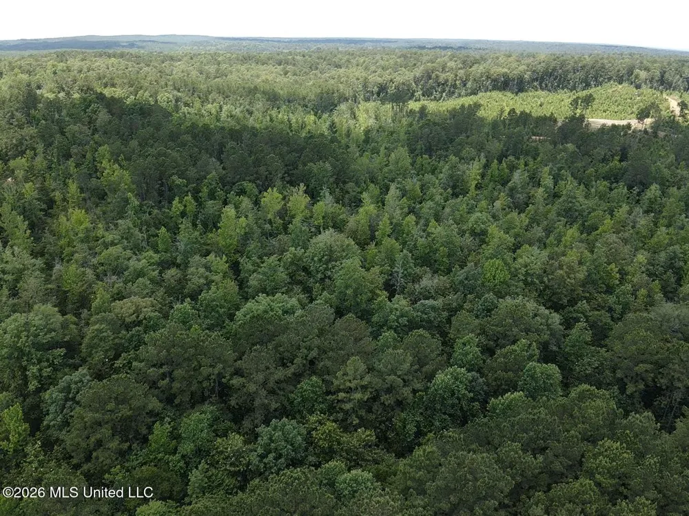 Stump Road Crosby, MS 39633