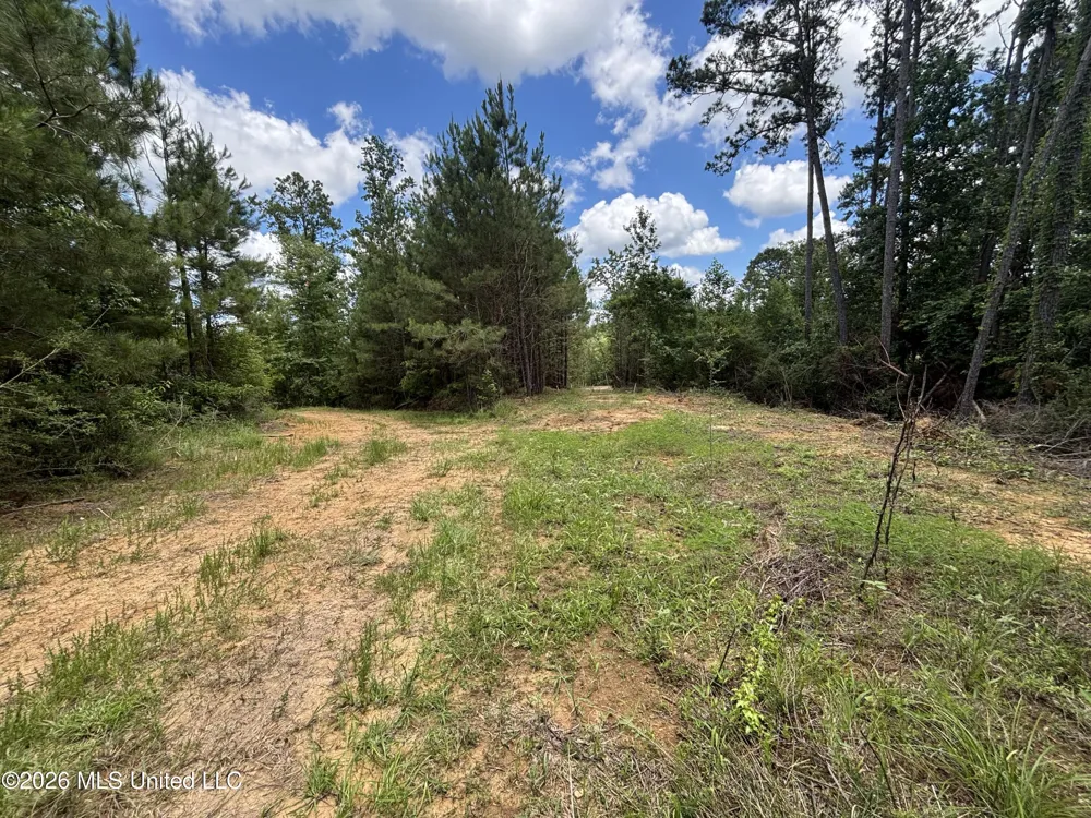 Stump Road Crosby, MS 39633