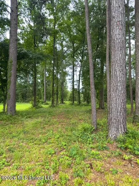 Ms-471 Brandon, MS 39047