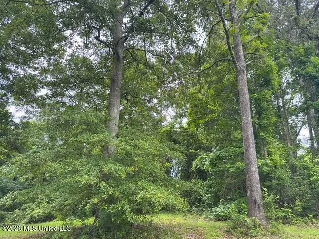 Ms-471 Brandon, MS 39047