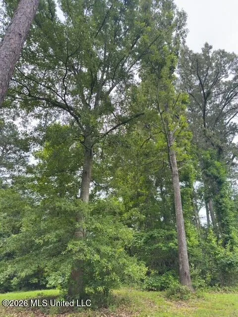 Ms-471 Brandon, MS 39047