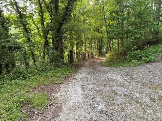 Heavenly View Dr Sylva, NC 28779