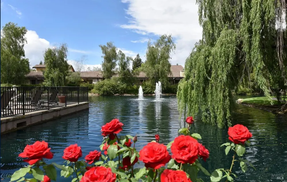 79 Fountain Grove Circle Napa, CA 94558