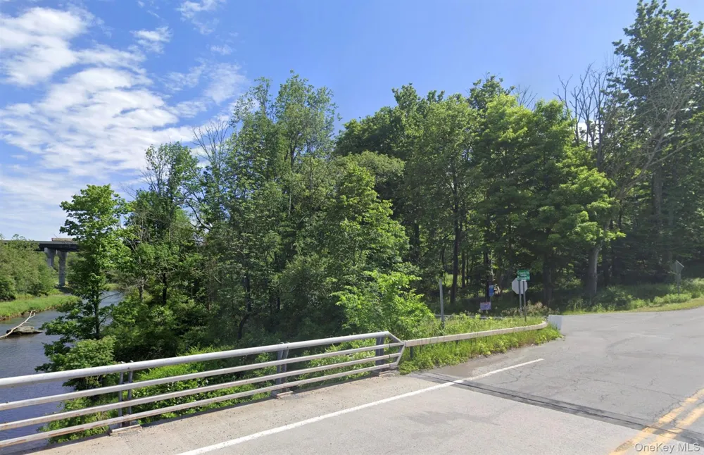 Edwards Road Rock Hill, NY 12775