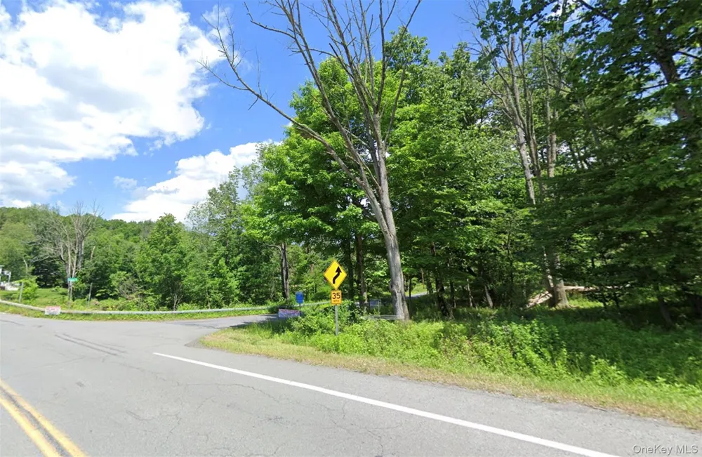 Edwards Road Rock Hill, NY 12775