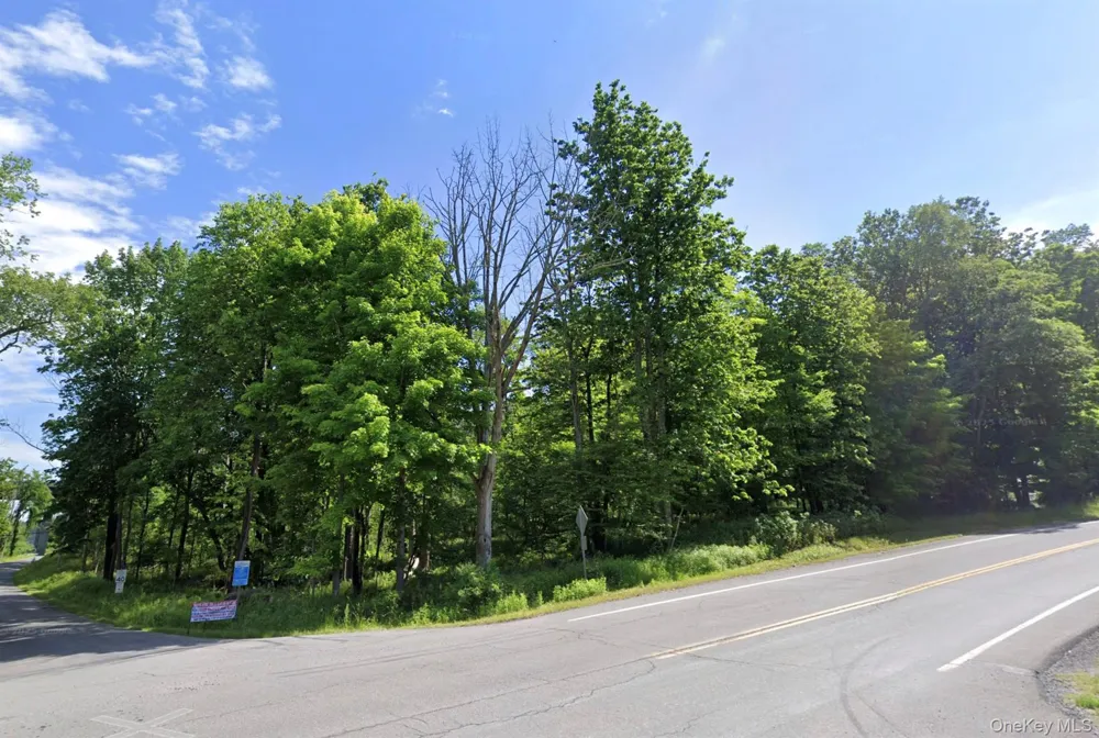 Edwards Road Rock Hill, NY 12775