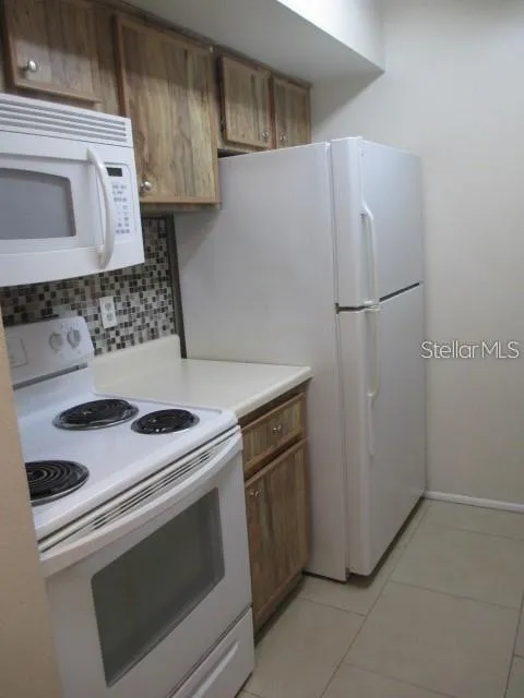 14227 SHADOW MOSS LANE #102 Tampa, FL 33613