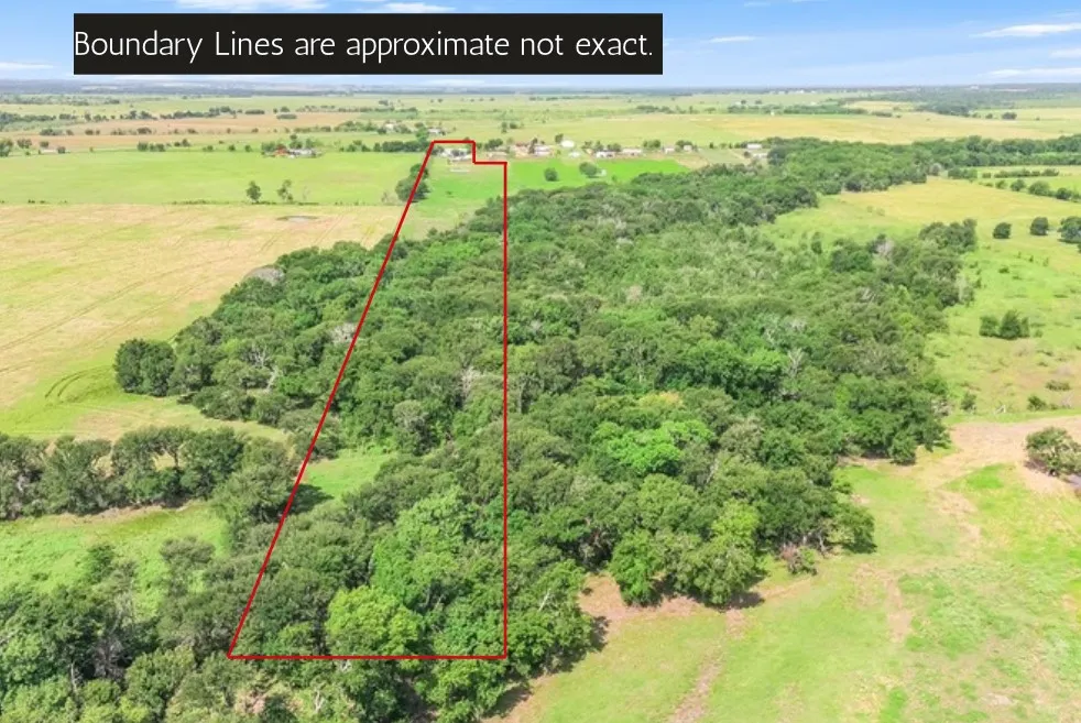 220 Lcr 396 Groesbeck, TX 76642