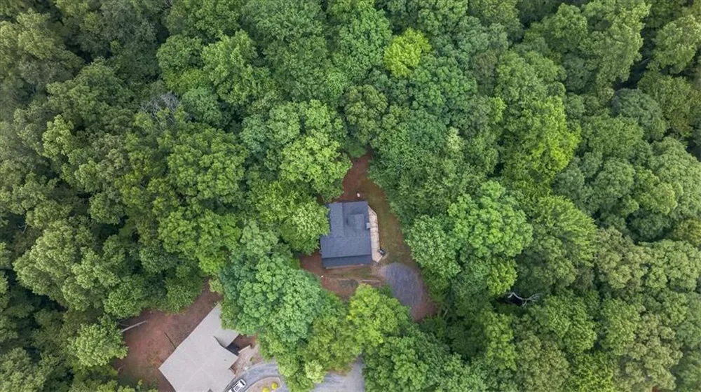 648 Stuart Mountain Road Mineral Bluff, GA 30559