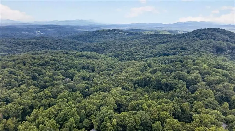 648 Stuart Mountain Road Mineral Bluff, GA 30559
