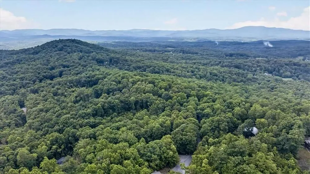 648 Stuart Mountain Road Mineral Bluff, GA 30559