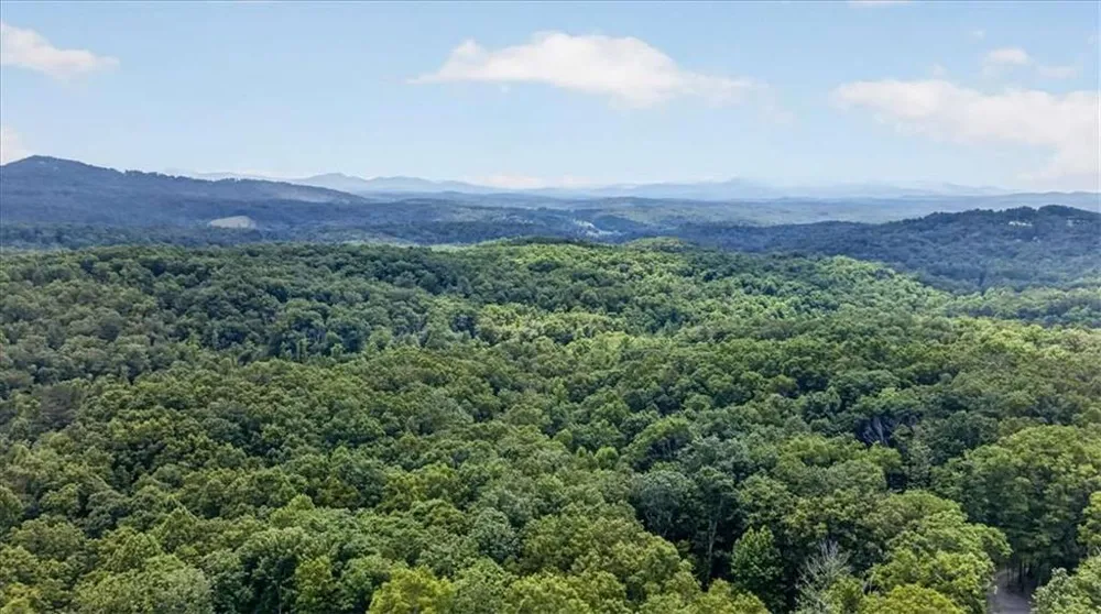 648 Stuart Mountain Road Mineral Bluff, GA 30559