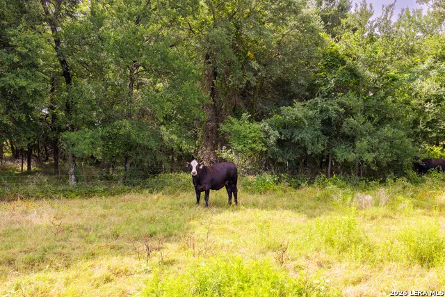 408 E FM 739 Corsicana, TX 75110