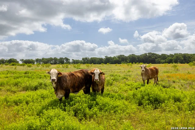 408 E FM 739 Corsicana, TX 75110