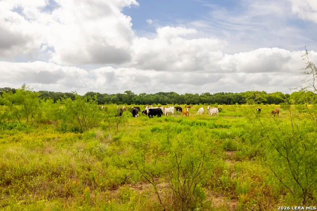 408 E FM 739 Corsicana, TX 75110