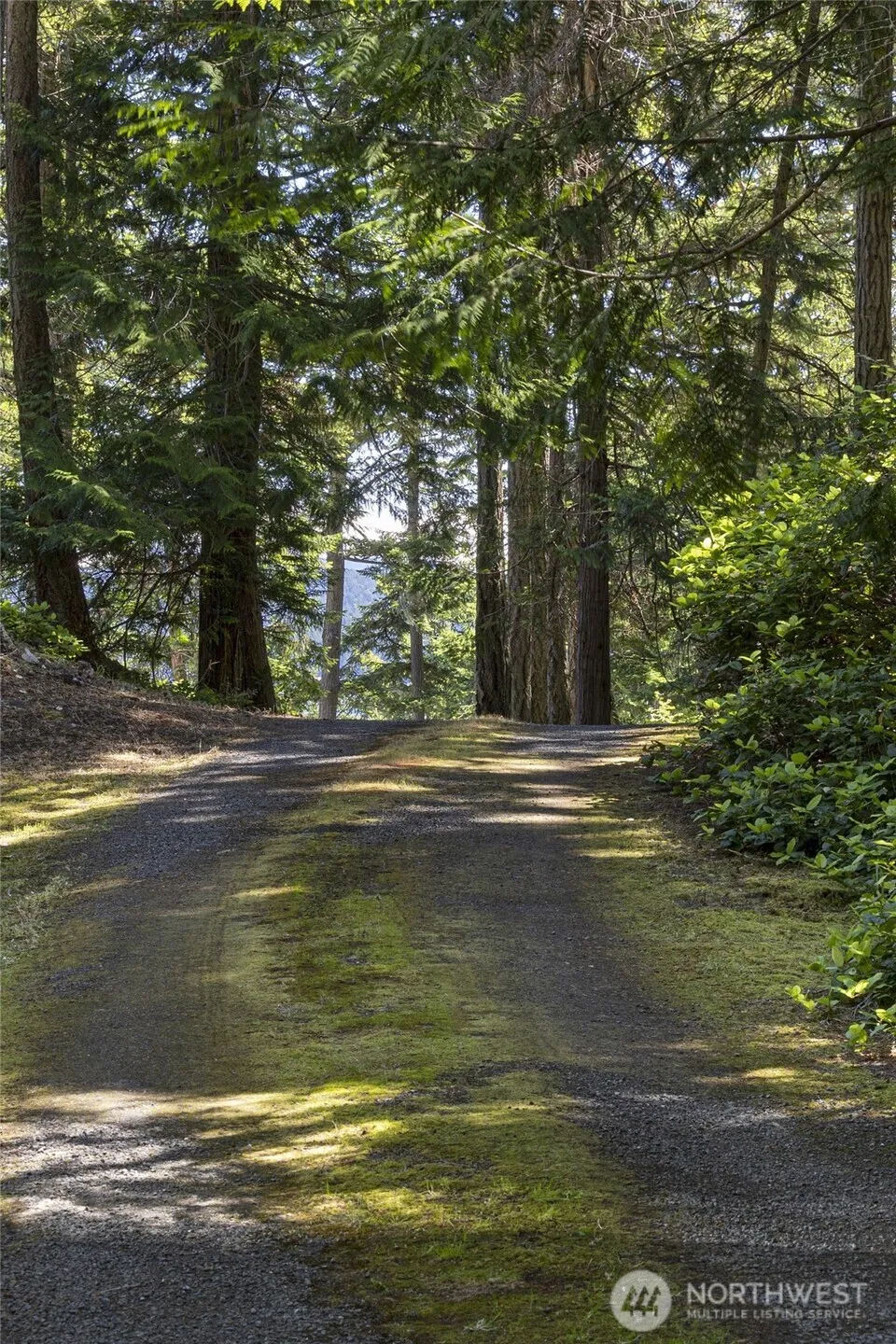 976 San Juan Drive Friday Harbor, WA 98250