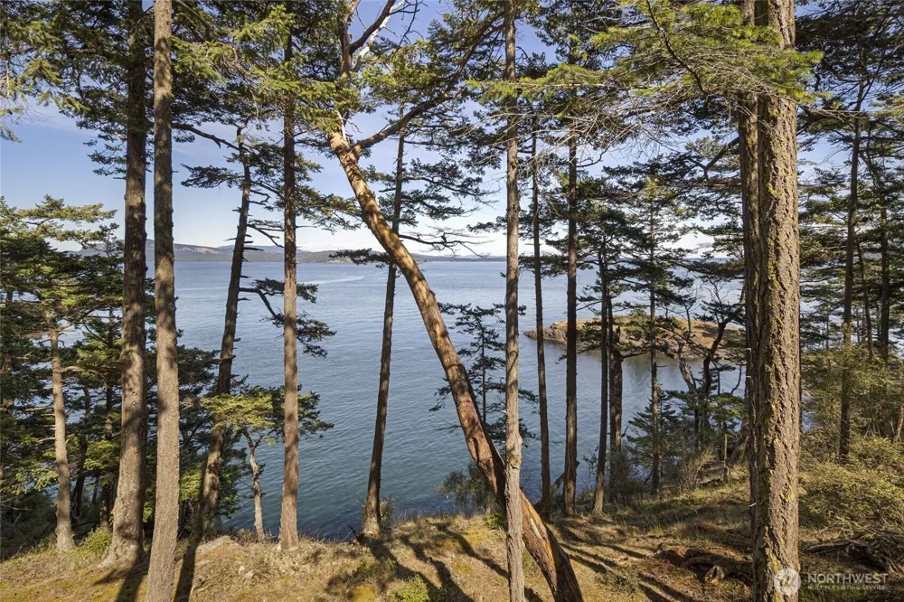 976 San Juan Drive Friday Harbor, WA 98250