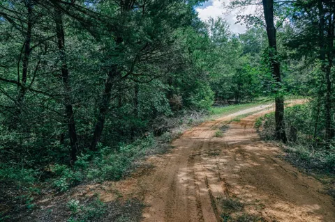 9713 County Road 316