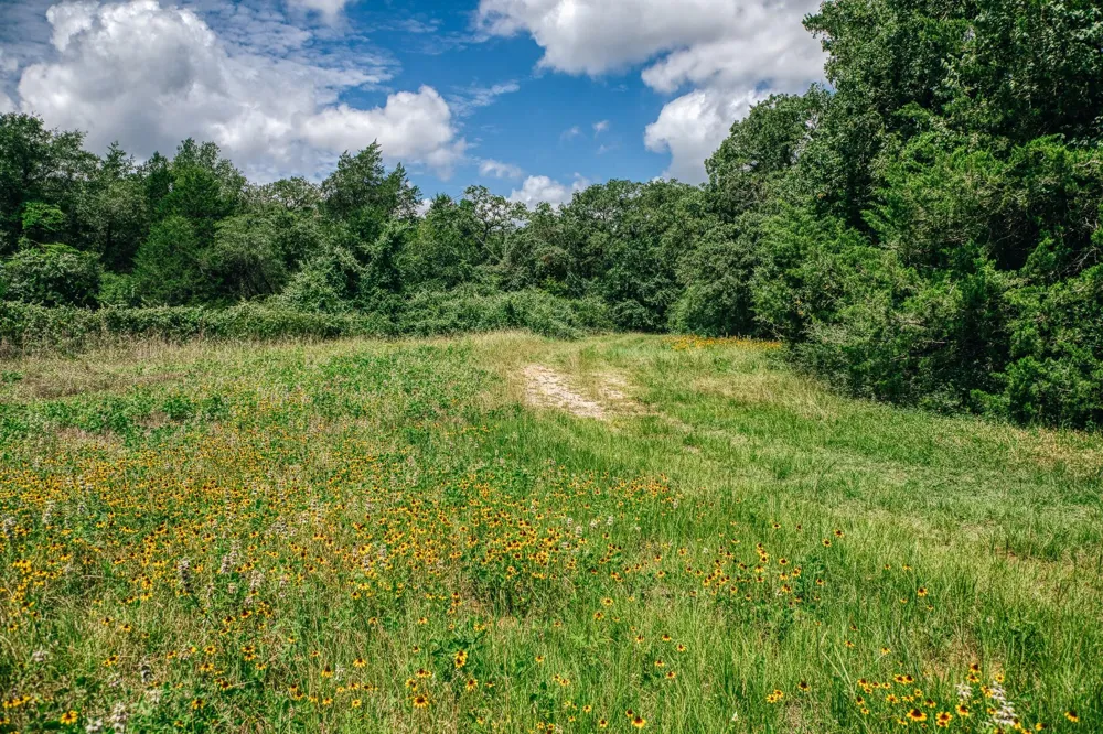 9713 County Road 316 Caldwell, TX 77836