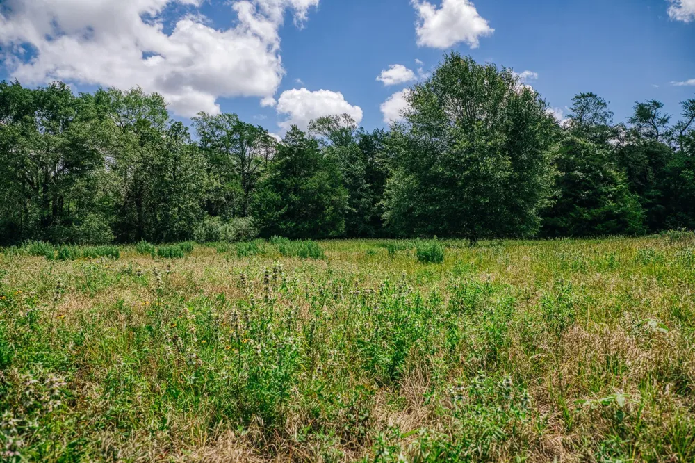 9713 County Road 316 Caldwell, TX 77836