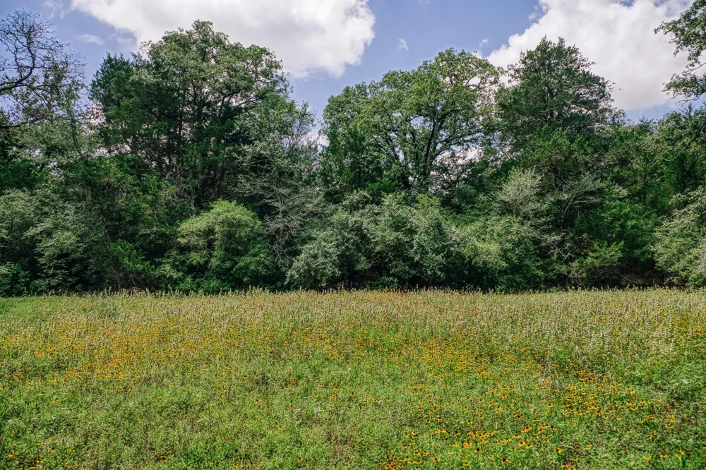 9713 County Road 316 Caldwell, TX 77836