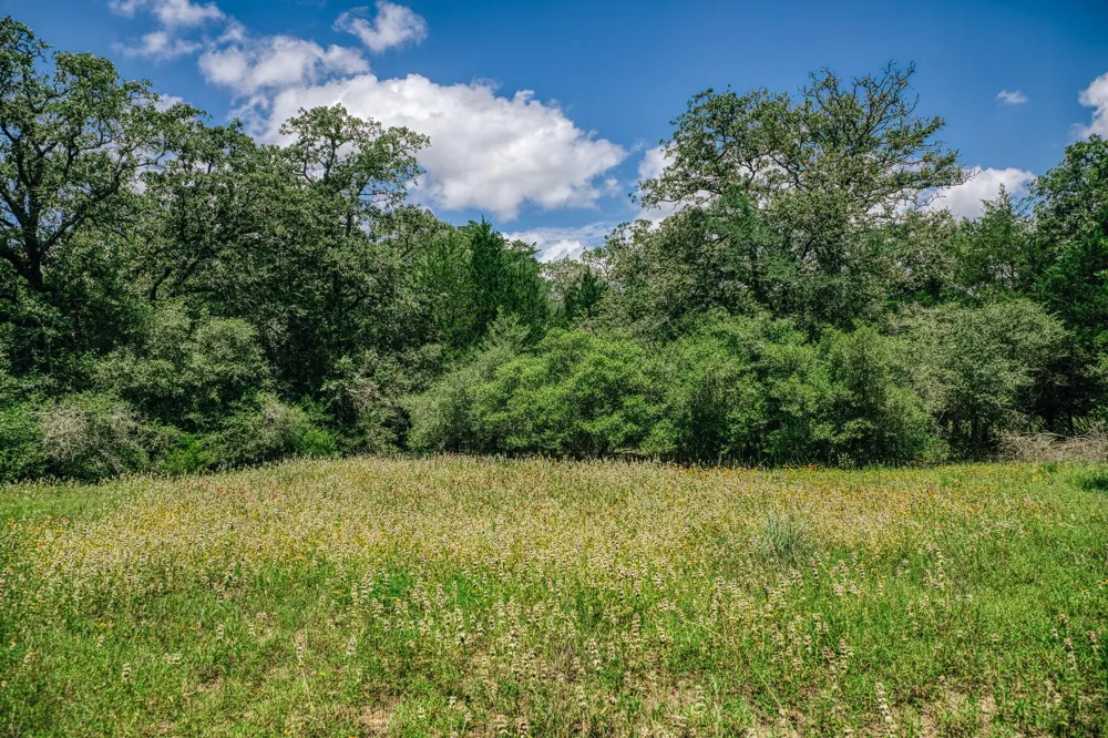 9713 County Road 316 Caldwell, TX 77836
