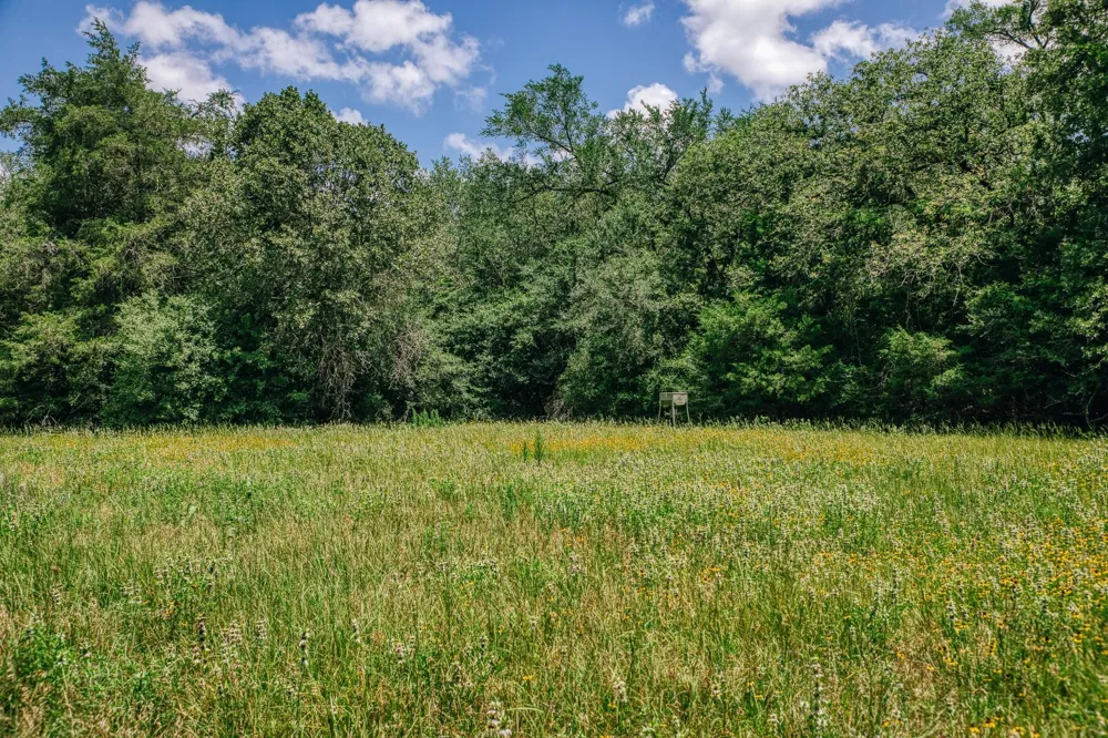 9713 County Road 316 Caldwell, TX 77836