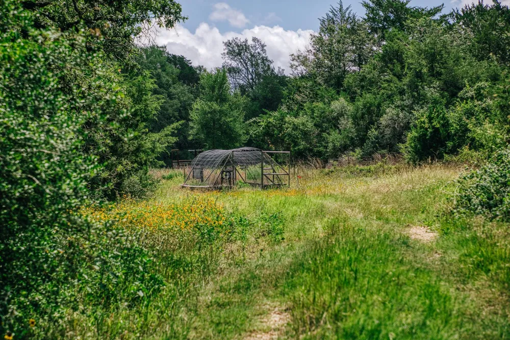 9713 County Road 316 Caldwell, TX 77836