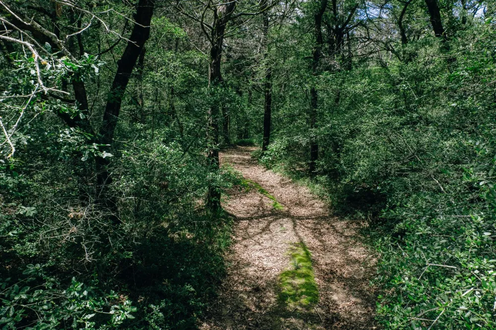 9713 County Road 316 Caldwell, TX 77836