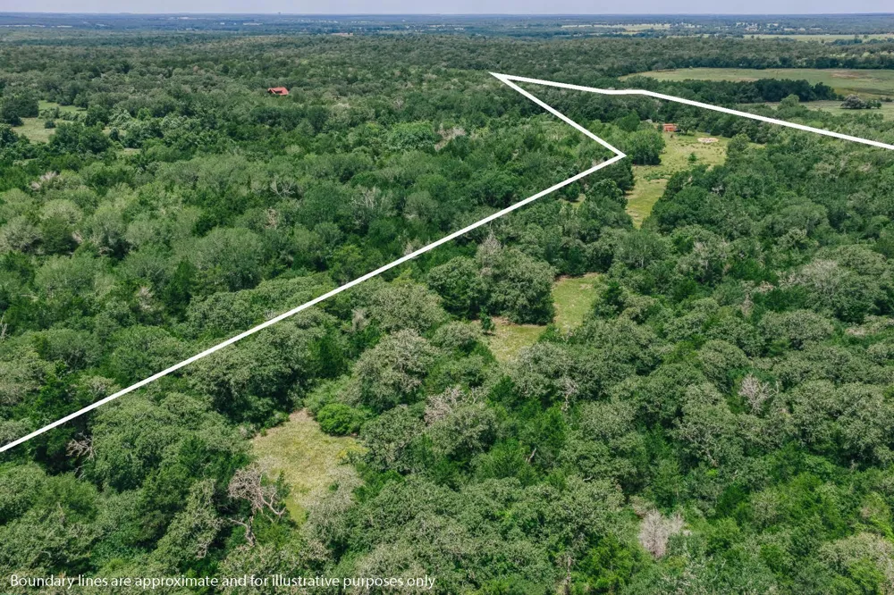 9713 County Road 316 Caldwell, TX 77836