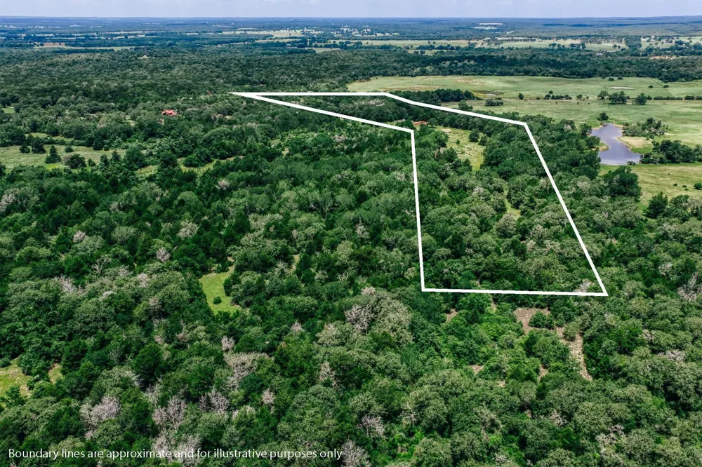 9713 County Road 316 Caldwell, TX 77836
