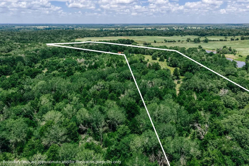 9713 County Road 316 Caldwell, TX 77836