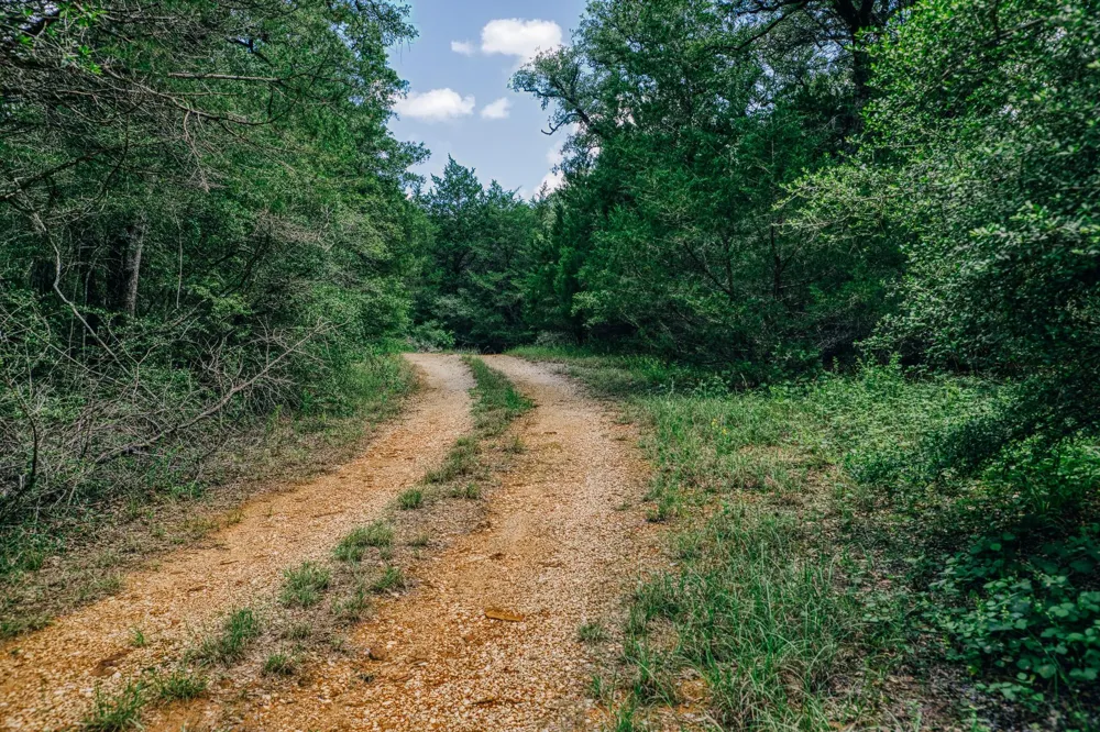 9713 County Road 316 Caldwell, TX 77836