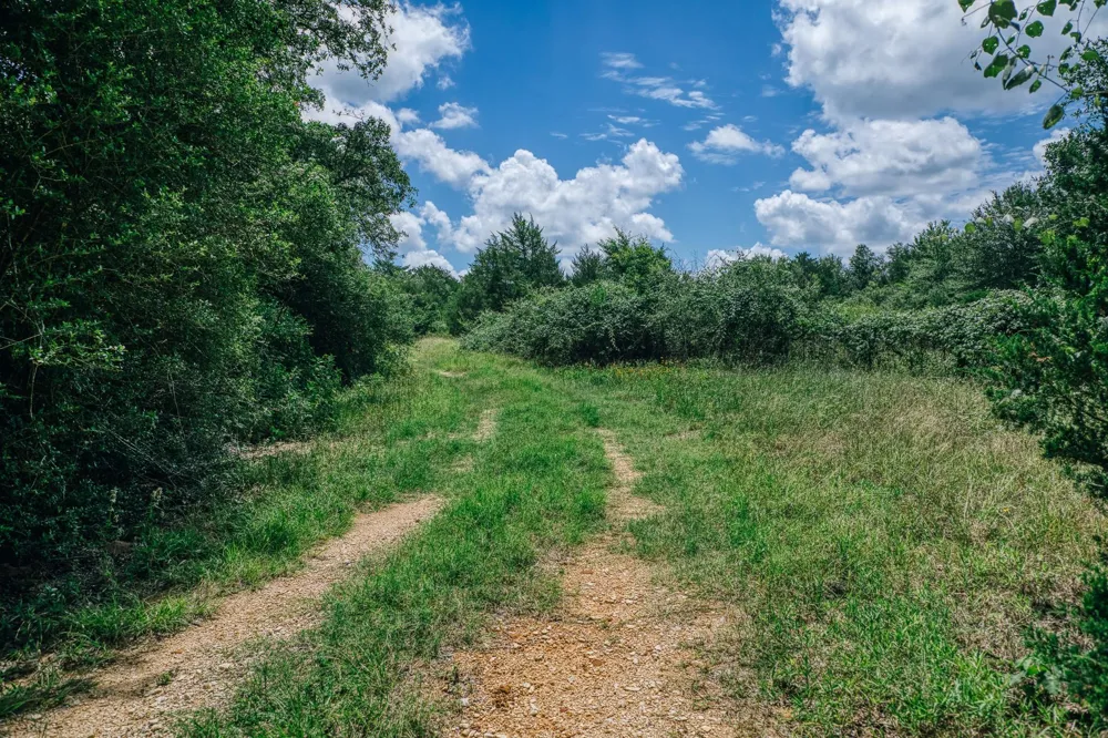 9713 County Road 316 Caldwell, TX 77836