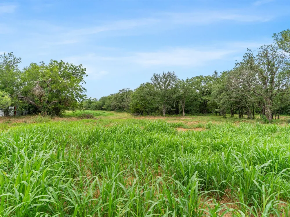 709 County Road 3355 Paradise, TX 76023