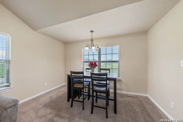 16371 Borregas Rd Elmendorf, TX 78112