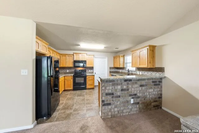 16371 Borregas Rd Elmendorf, TX 78112