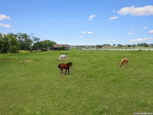 16371 Borregas Rd Elmendorf, TX 78112