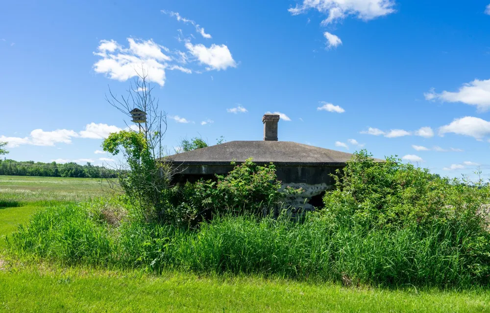 14582 420th Street Tamarack, MN 55787