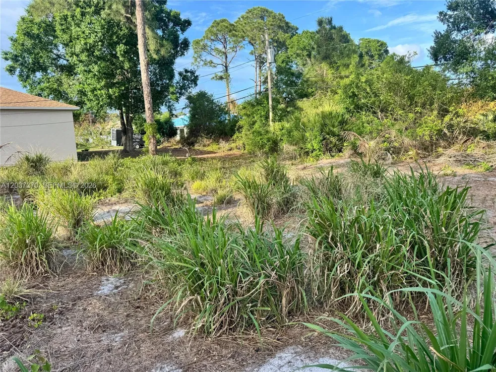 4149 SW Bamberg St Port St. Lucie, FL 34953
